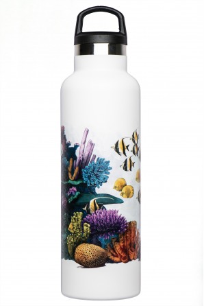 Illustrated thermal bottle Fish Tank