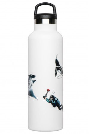 Illustrated thermal bottle...