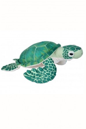 Green Sea Turtle Plush