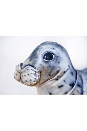 Almohada foca gris