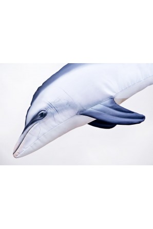 Almofada golfinho nariz de garrafa