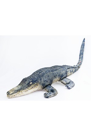 Oreiller crocodile