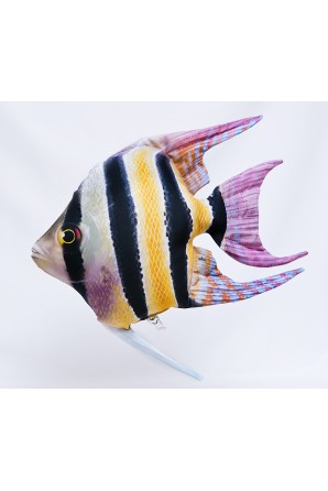 Freshwater Angelfish Pillow