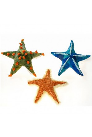Mini étoiles de mer Cuddlekins